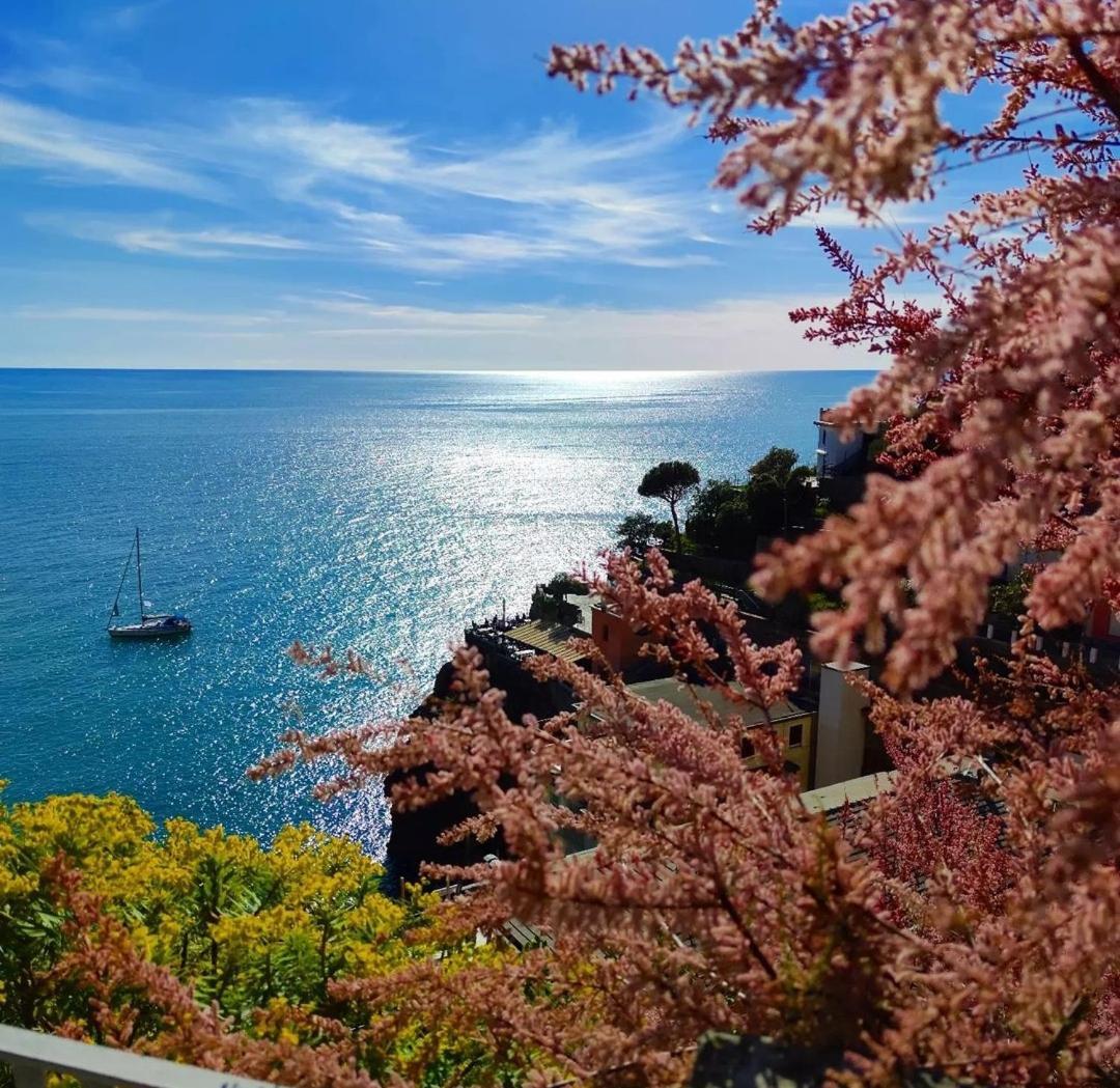 Exotic Flavour House Hotel La Spezia Exterior photo